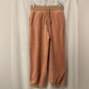 J Crew Relaxed Velour Jogger Pant Rose Size S New With Tags Orig Owner